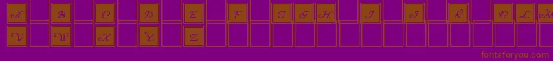 WrennInitialsBlocked Font – Brown Fonts on Purple Background