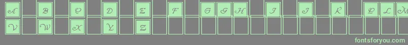 Шрифт WrennInitialsBlocked – зелёные шрифты на сером фоне