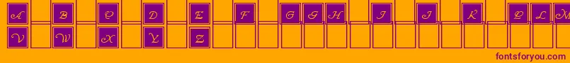 WrennInitialsBlocked Font – Purple Fonts on Orange Background