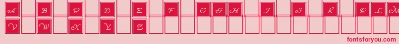 WrennInitialsBlocked Font – Red Fonts on Pink Background