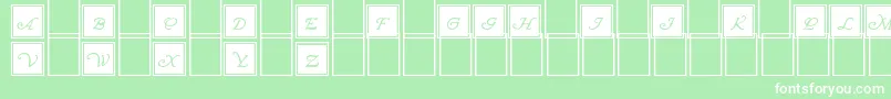 WrennInitialsBlocked Font – White Fonts on Green Background