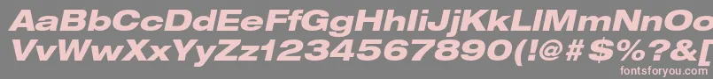 HelveticaneueltstdHvexo Font – Pink Fonts on Gray Background