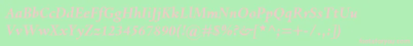 DantemtstdBolditalic Font – Pink Fonts on Green Background