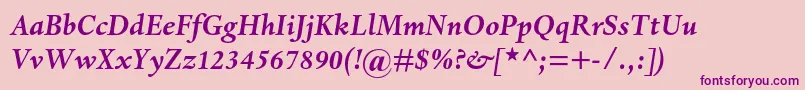 DantemtstdBolditalic Font – Purple Fonts on Pink Background