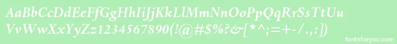 DantemtstdBolditalic Font – White Fonts on Green Background