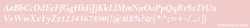 DantemtstdBolditalic Font – White Fonts on Pink Background