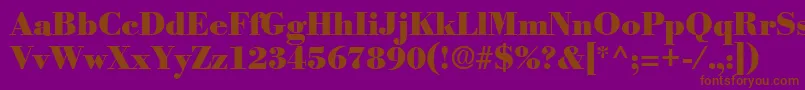 PosterRegular Font – Brown Fonts on Purple Background