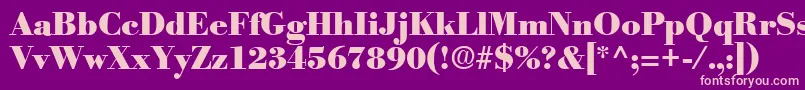 PosterRegular Font – Pink Fonts on Purple Background