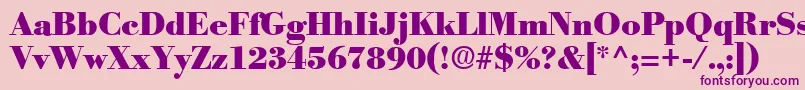 PosterRegular Font – Purple Fonts on Pink Background