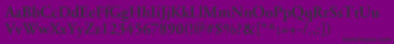 ApcgaramondcBold Font – Black Fonts on Purple Background