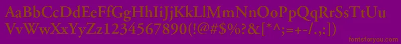 ApcgaramondcBold Font – Brown Fonts on Purple Background