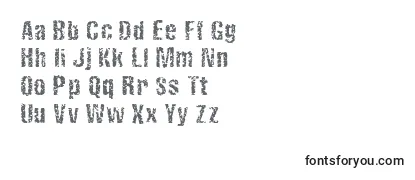 Обзор шрифта Fistrn