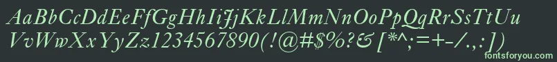 EhrhardtMtItalic Font – Green Fonts on Black Background