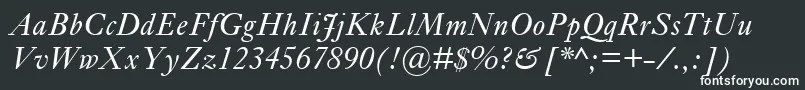 EhrhardtMtItalic Font – White Fonts on Black Background