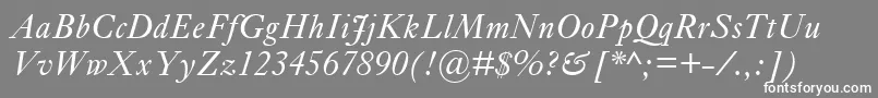 EhrhardtMtItalic Font – White Fonts on Gray Background