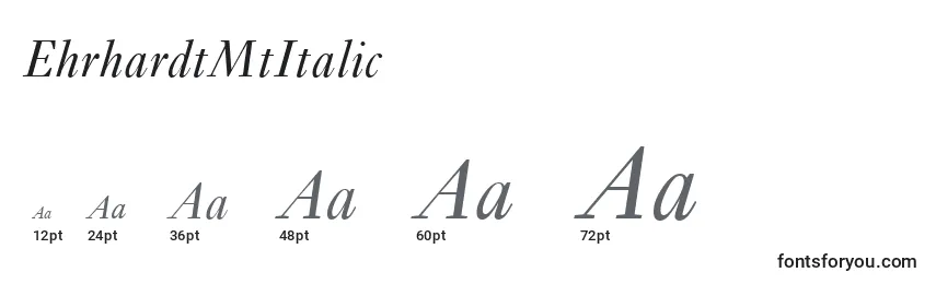 Размеры шрифта EhrhardtMtItalic