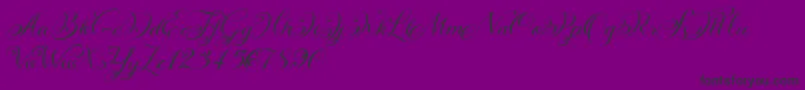 Fonte KazincbarcikascriptDemo – fontes pretas em um fundo violeta