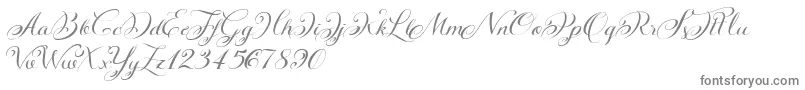 KazincbarcikascriptDemo-Schriftart – Graue Schriften auf weißem Hintergrund