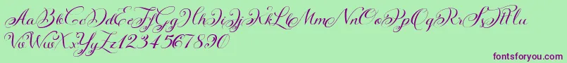 KazincbarcikascriptDemo Font – Purple Fonts on Green Background