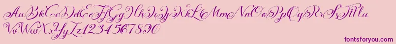 KazincbarcikascriptDemo Font – Purple Fonts on Pink Background