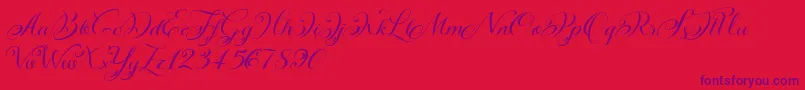 KazincbarcikascriptDemo-Schriftart – Violette Schriften auf rotem Hintergrund