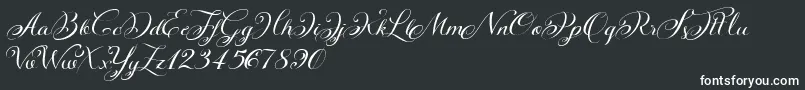 フォントKazincbarcikascriptDemo – 黒い背景に白い文字