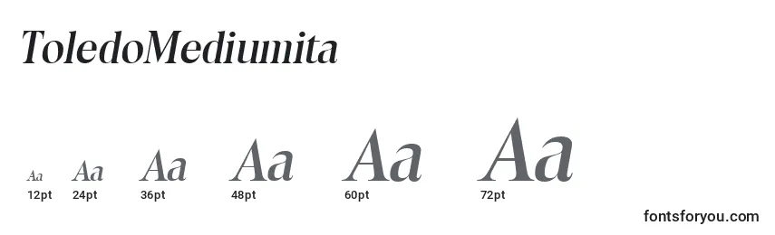 ToledoMediumita Font Sizes