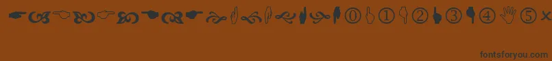 Wingdng2 Font – Black Fonts on Brown Background