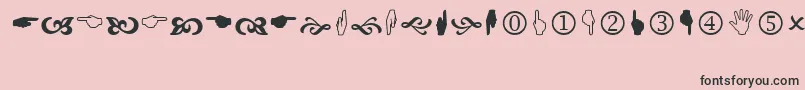 Wingdng2 Font – Black Fonts on Pink Background