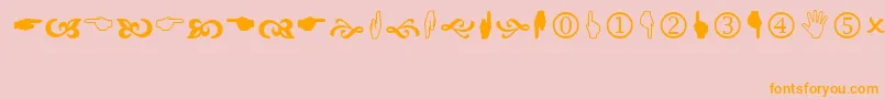 Wingdng2 Font – Orange Fonts on Pink Background