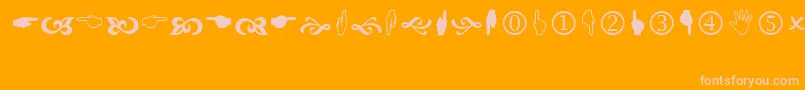 Wingdng2 Font – Pink Fonts on Orange Background