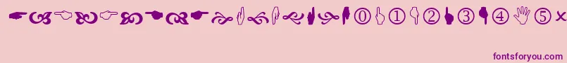 Wingdng2 Font – Purple Fonts on Pink Background