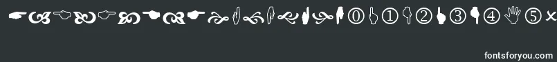 Wingdng2 Font – White Fonts