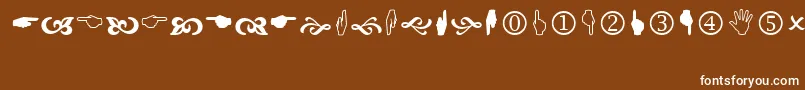 Wingdng2 Font – White Fonts on Brown Background