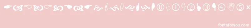 Wingdng2 Font – White Fonts on Pink Background