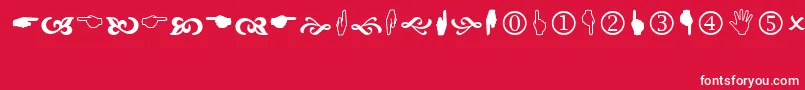 Wingdng2 Font – White Fonts on Red Background