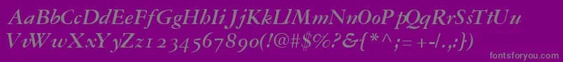 GaramondrepriseossskBoldItalic Font – Gray Fonts on Purple Background