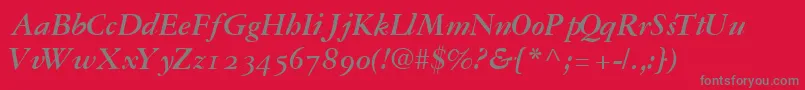 フォントGaramondrepriseossskBoldItalic – 赤い背景に灰色の文字