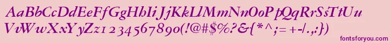 GaramondrepriseossskBoldItalic Font – Purple Fonts on Pink Background