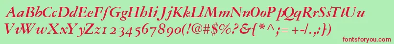 GaramondrepriseossskBoldItalic Font – Red Fonts on Green Background