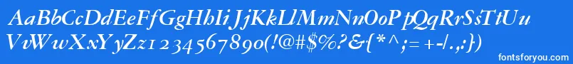 GaramondrepriseossskBoldItalic Font – White Fonts on Blue Background