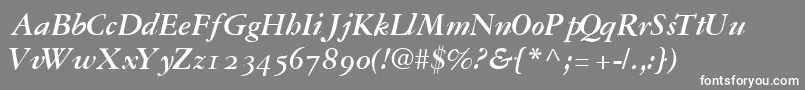 GaramondrepriseossskBoldItalic Font – White Fonts on Gray Background