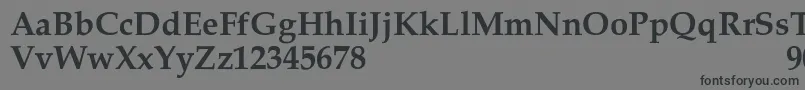 フォントPalacioSemibold – 黒い文字の灰色の背景