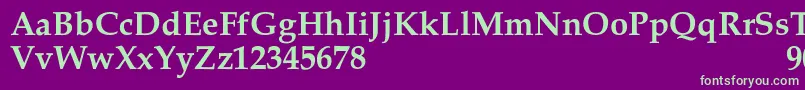 Шрифт PalacioSemibold – зелёные шрифты на фиолетовом фоне