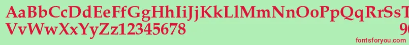 Czcionka PalacioSemibold – czerwone czcionki na zielonym tle