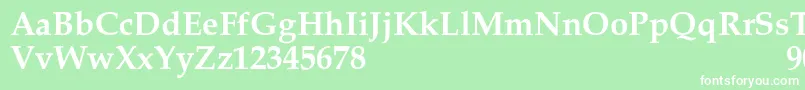 フォントPalacioSemibold – 緑の背景に白い文字