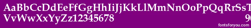 フォントPalacioSemibold – 紫の背景に白い文字