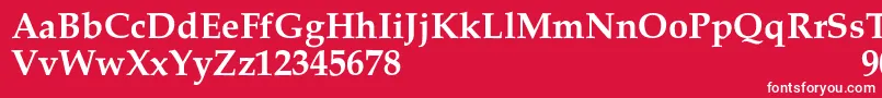 Czcionka PalacioSemibold – białe czcionki na czerwonym tle