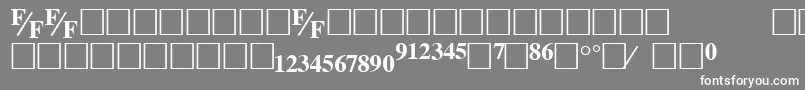 フォントTmsfeBold – 灰色の背景に白い文字