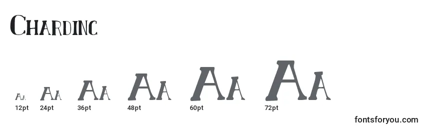 Размеры шрифта Chardinc